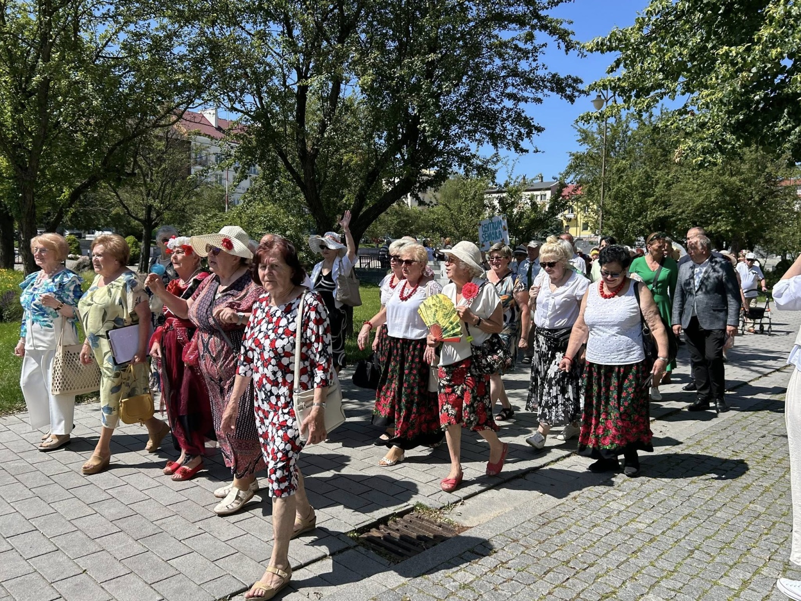 X  SENIORALIA